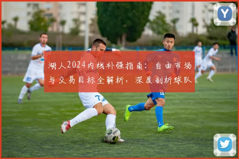 湖人2024内线补强指南：自由市场与交易目标全解析，深度剖析球队所需中锋类型